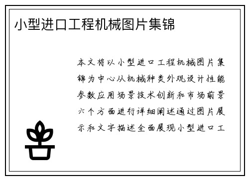 小型进口工程机械图片集锦