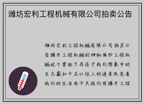 潍坊宏利工程机械有限公司拍卖公告