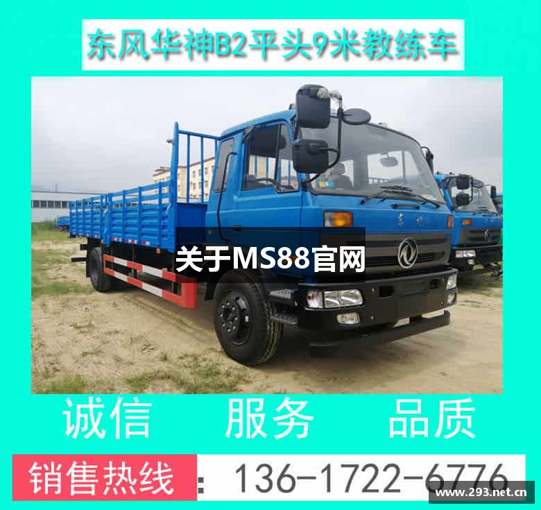 关于MS88官网